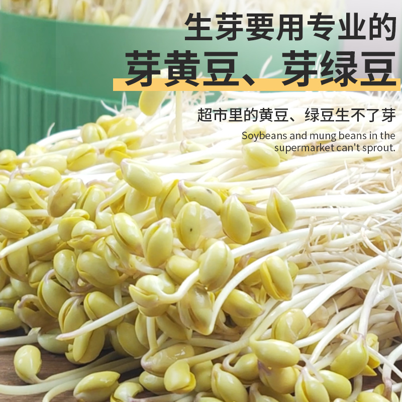 幸福屯专业芽黄豆芽绿豆芽黑豆500g发芽率高 到手价¥14.90