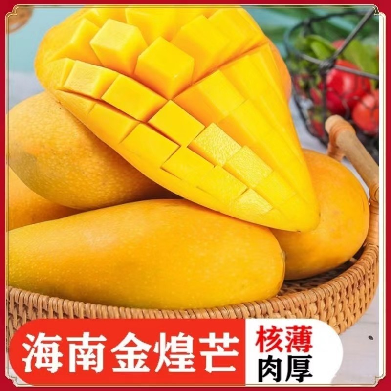 海南金煌芒果催熟放软食用广西仓发货应季水果 到手价¥18.90