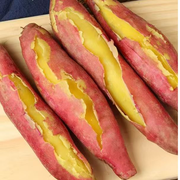 [宁夏高原红板栗薯]正宗沙地高原板栗红薯粉糯香甜宝宝辅食5/9斤 图片 5