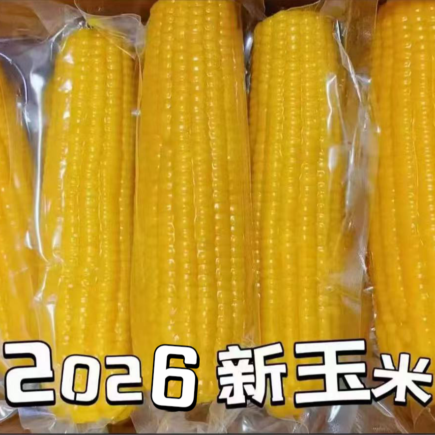 试吃半箱！2026头茬整箱10大棒东北黄糯玉米单只240g-350g之间w 到手价¥19.90