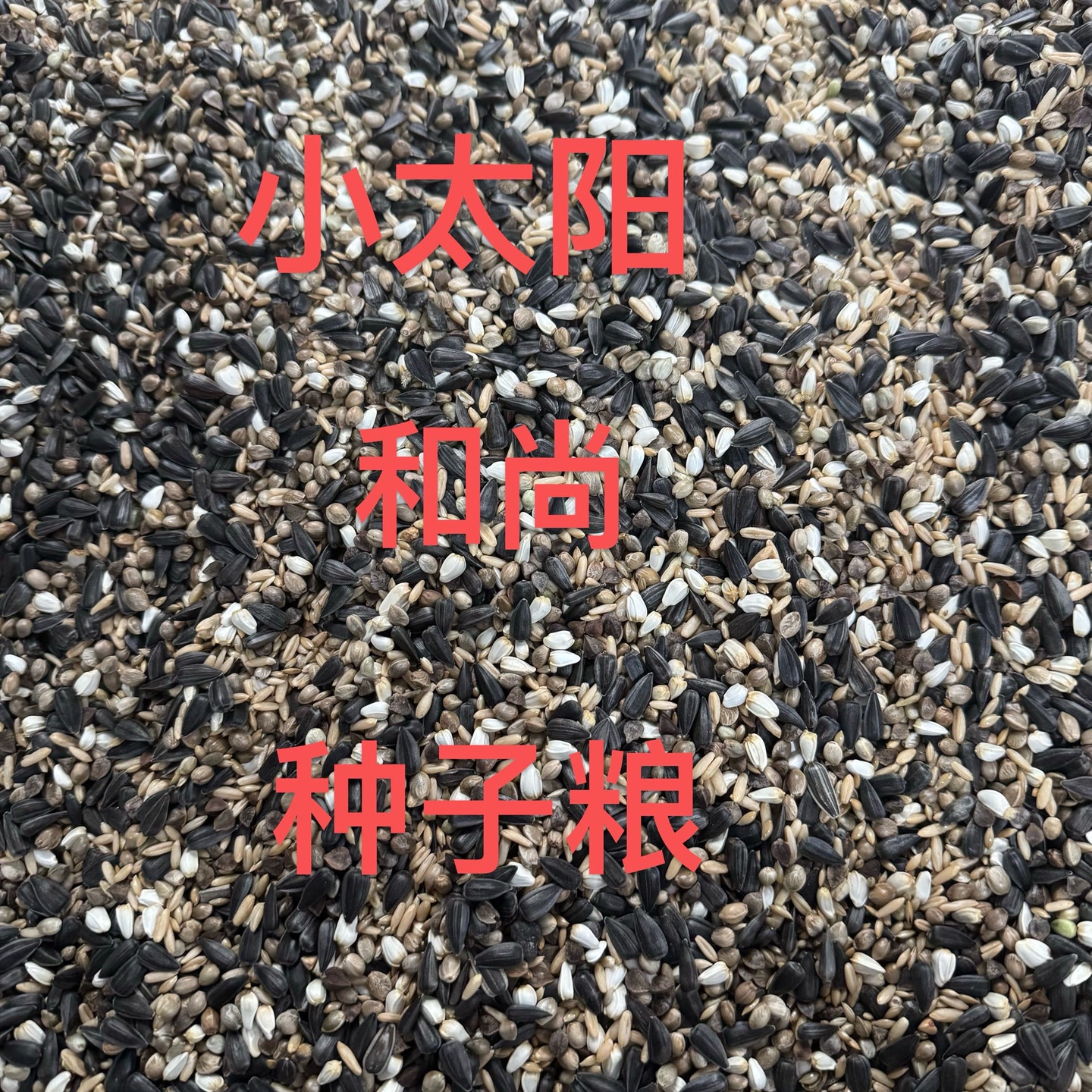 小太阳和尚鹦鹉混合粮油葵3加纳1红花1荞麦1燕麦2麻子2成 图片 1